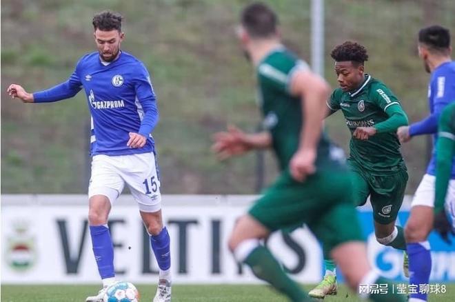 无疑是一项 无疑是一项